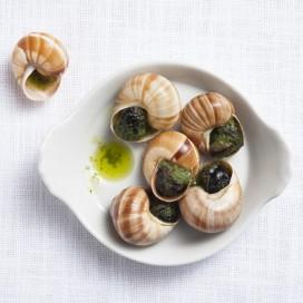 Escargot Provençal